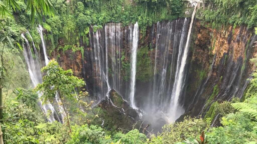 Belum ke Tumpak Sewu? Ini Alasan Wajib Dikunjungi!