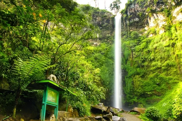 Air Terjun Coban Rondo, Destinasi Liburan yang Viral di 2024!