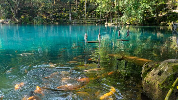 Yuk, Nikmati Kesegaran Alami di Wisata Telaga Biru Malang!