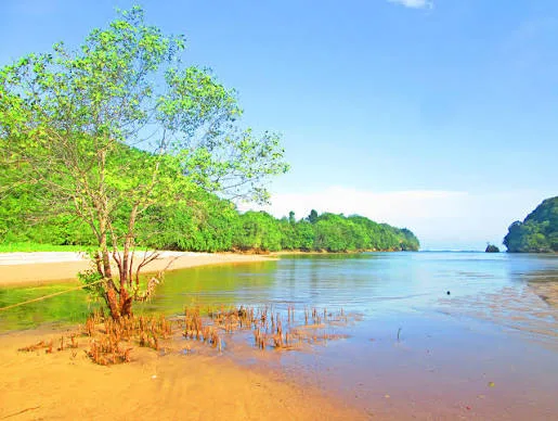 Liburan Tenang di Malang, Nikmati Pesona Pantai Clungup