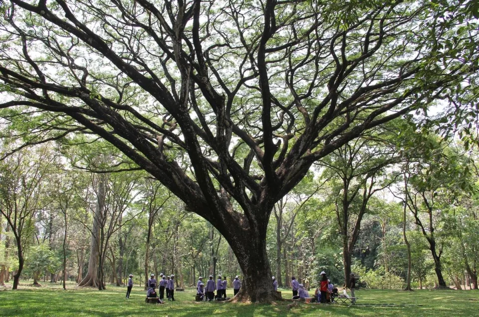 Kebun Raya Purwodadi, Wisata Edukasi Flora Paling Hits!