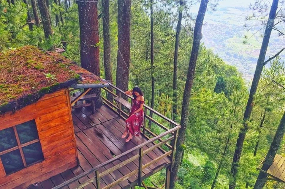 Omah Kayu Malang Viral, Harga Tiket & Jam Buka Lengkap!