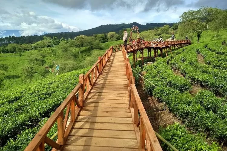 Eksplor Alam Malang, Keindahan Bukit Kuneer Gak Ada Duanya!