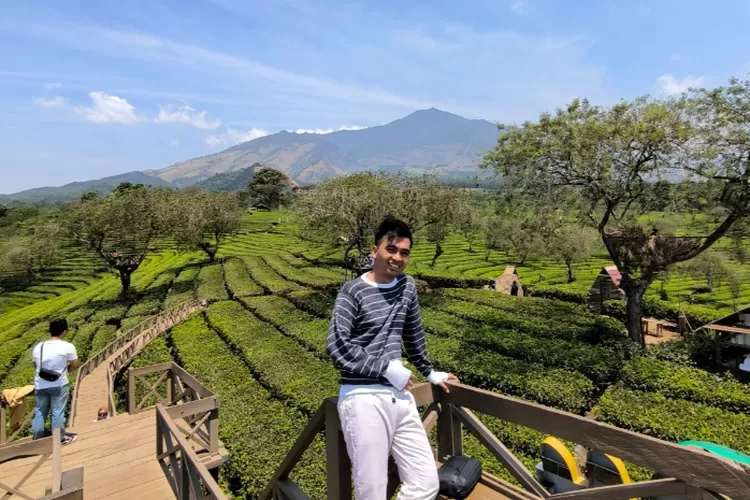 Bukit Kuneer Ramai Pengunjung, Ini Jam Buka dan Tutupnya!