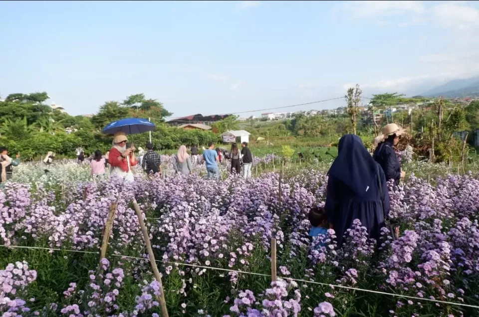 Paket Wisata Malang 2D1N, Serunya Trip Bareng Jalankebromo!