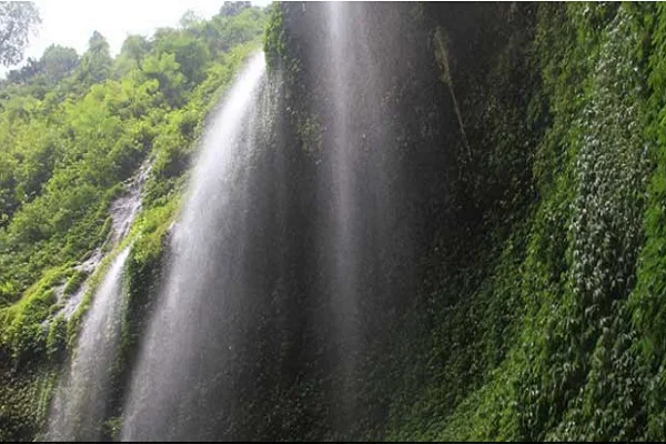Trip Air Terjun Madakaripura!, Itinerary Lengkap Cek Disini