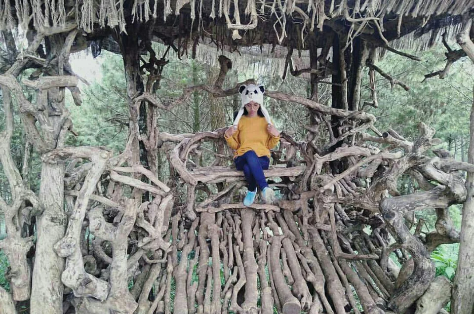 Daya Tarik Goa Pinus, Hidden Gem Favorit Wisatawan