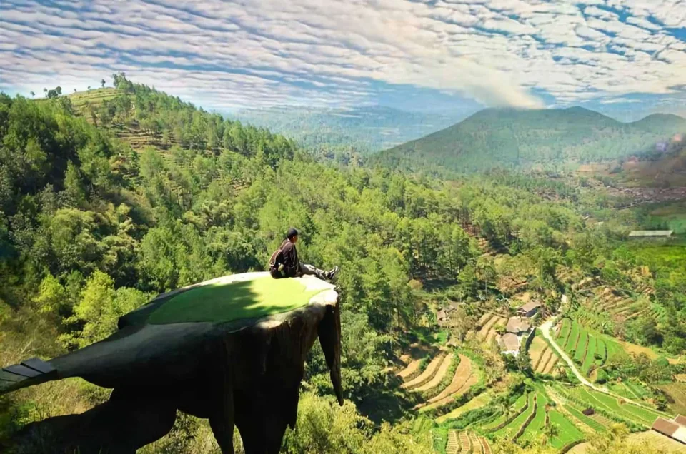 Harga Tiket Goa Pinus, Murah Banget untuk View Sekeren Ini