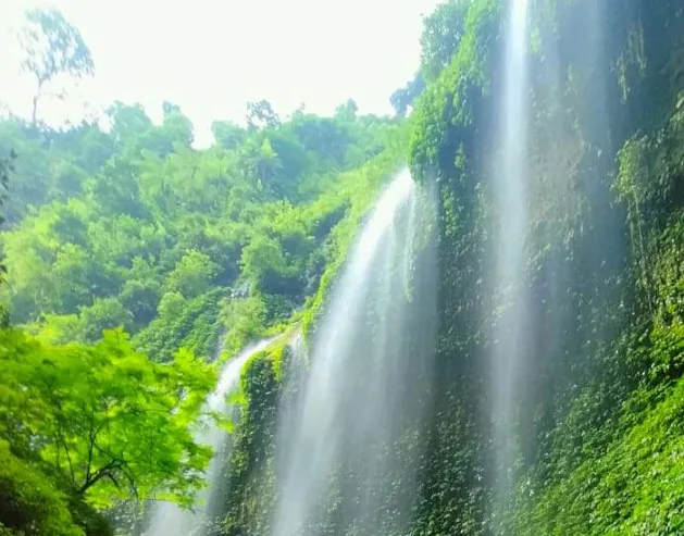 Paket trip madakaripura start Surabaya, Cara Praktis Jelajah Alam
