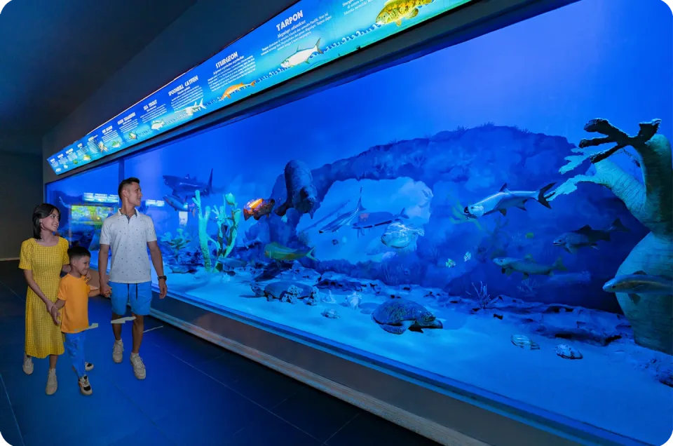 Tiket Museum Satwa, Harga Terbaru yang Wajib Kamu Tahu