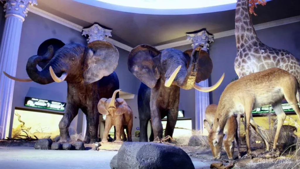 Dimana Museum Satwa Berada, Simak Lokasi dan Rutenya