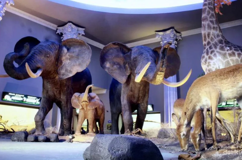 Dimana Museum Satwa Berada, Simak Lokasi dan Rutenya