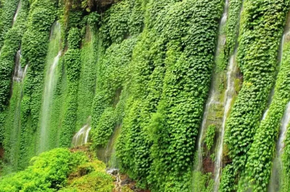 Ada Apa Saja di Coban Sumber Pitu, Pesonanya Bikin Penasaran