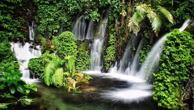 Trekking Coban Sumber Pitu, Menembus Hutan yang Bikin Nagih